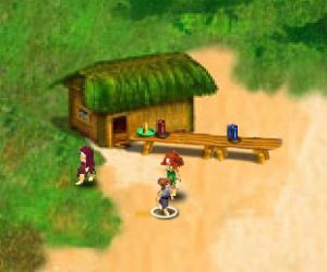 Virtual Villagers 2 Ga…