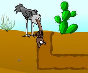 Ostrich Underground Ga…